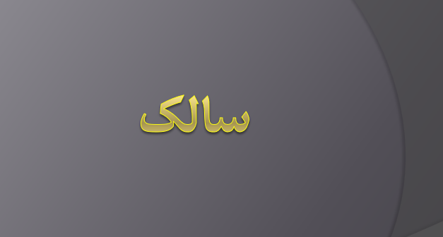 دانلود-پاورپوینت-سالک